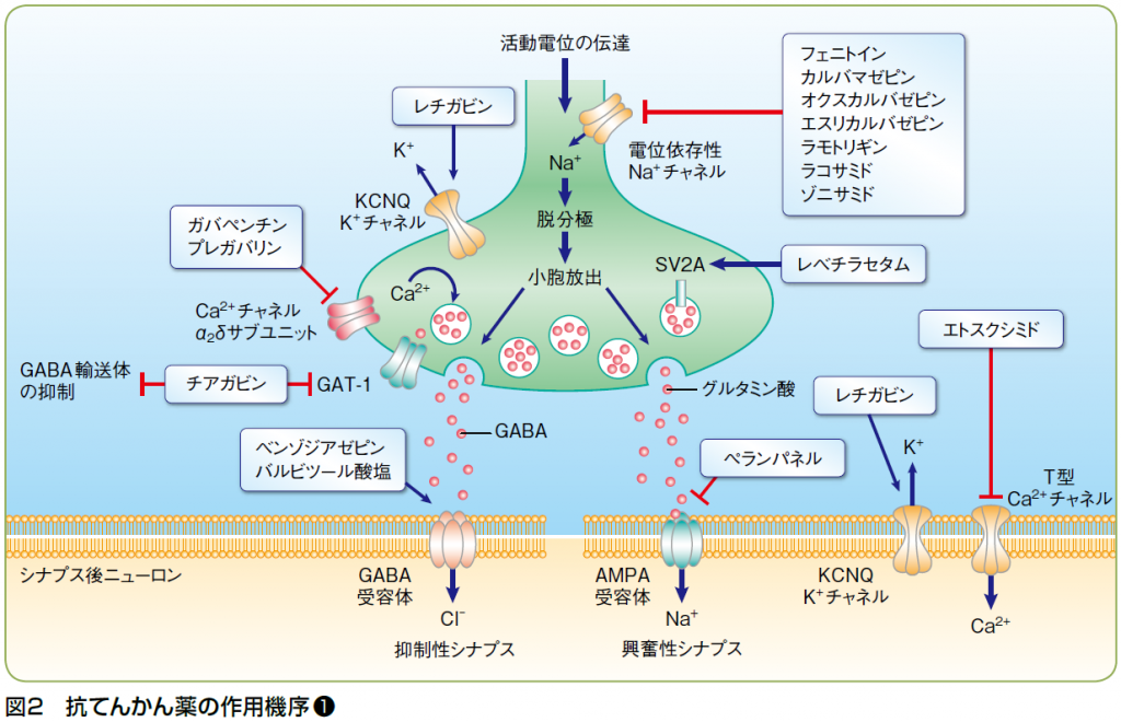 専門医+エキスパートに聞く よりよい服薬指導のための基礎知識 vol.108 ファーマスタイルWEB