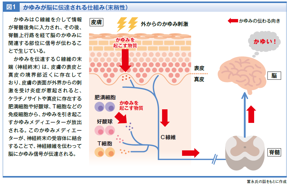 医師に連絡する時期